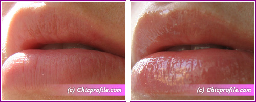 Max Factor Vibrant Curve Effect Lip Gloss in Vibrant - Review + Lip ...