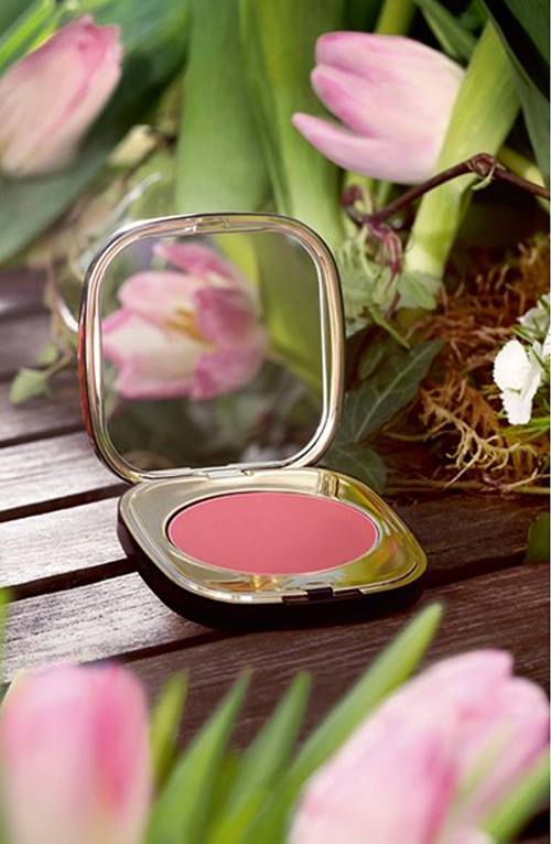 Dolce-Gabbana-Blush-of-Roses-Creamy-Face-Colour-2016 - Beauty Trends ...