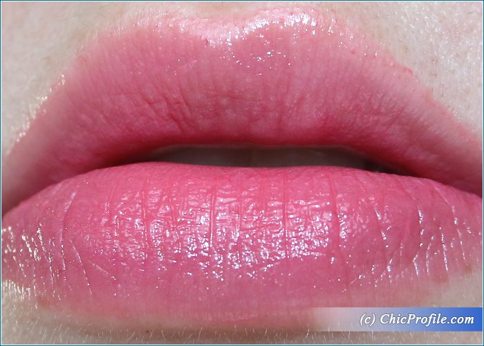 Elizabeth-Arden-Plump-Up-Lip-Gelato-Rose-Macaroon-Review - Beauty ...